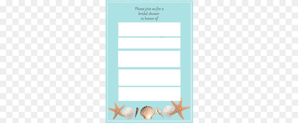 Error Message Shell, Animal, Invertebrate, Sea Life, Seashell Png