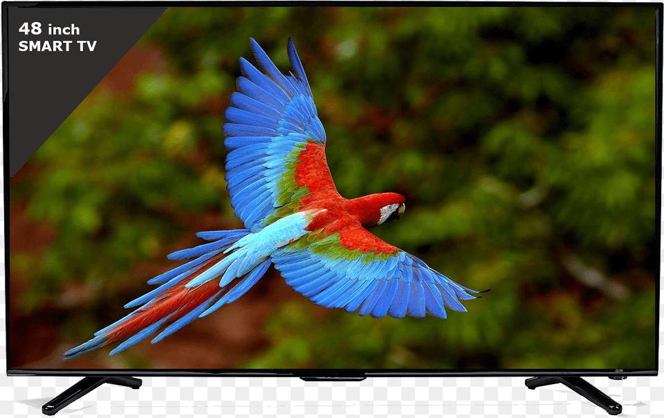 Esaplling 55inch Tv Esaplling 48smart Tv Birds In The Emergent Layer, Computer Hardware, Electronics, Hardware, Monitor Free Png
