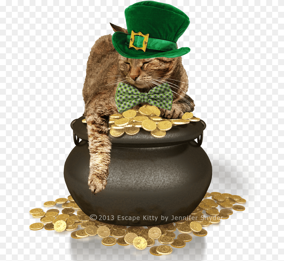 Escape Kitty39s St Patrick39s Day Wish Pot Of Gold, Treasure, Jar, Photography, Accessories Png