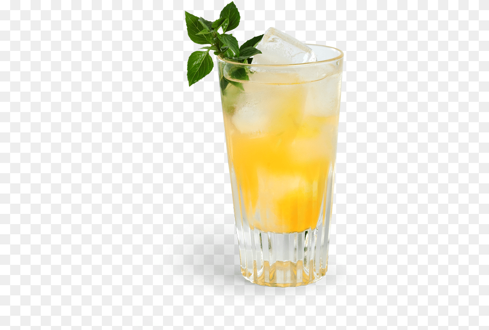 Escarchar Vaso Con Sal De Gusano Verter En Vaso Highball Sour, Alcohol, Beverage, Cocktail, Herbs Free Png Download