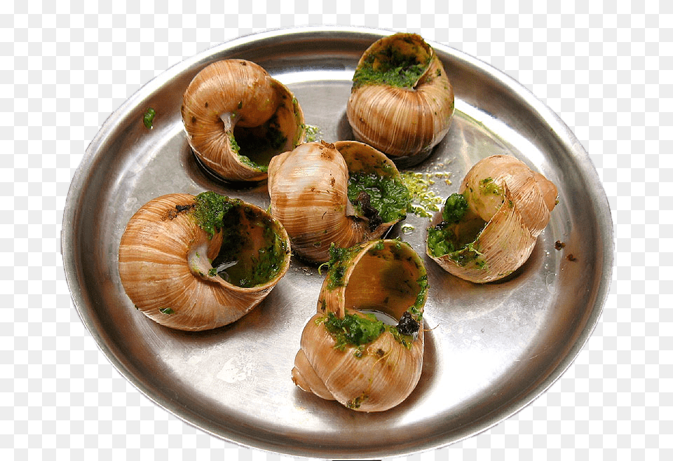 Escargots In Garlic Butter, Animal, Seafood, Sea Life, Invertebrate Free Png