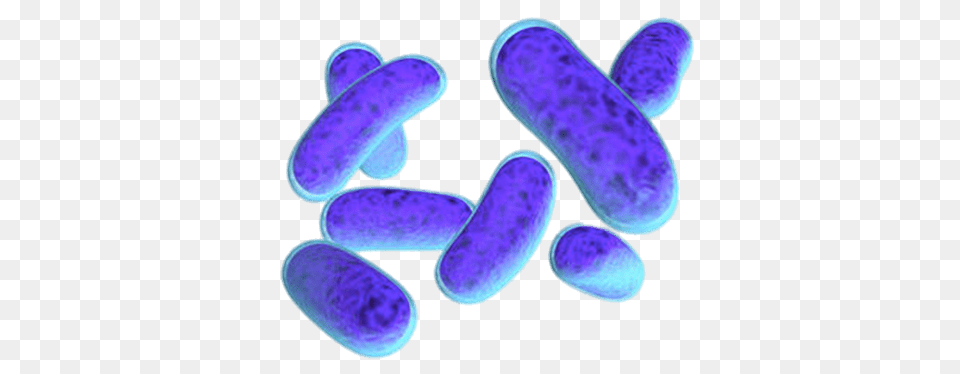 Escherichia Coli Bacteria, Purple Free Png