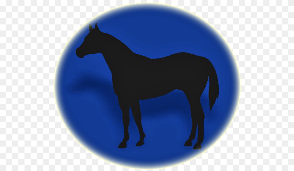 Escola De Stallion, Animal, Horse, Mammal, Colt Horse Free Transparent Png