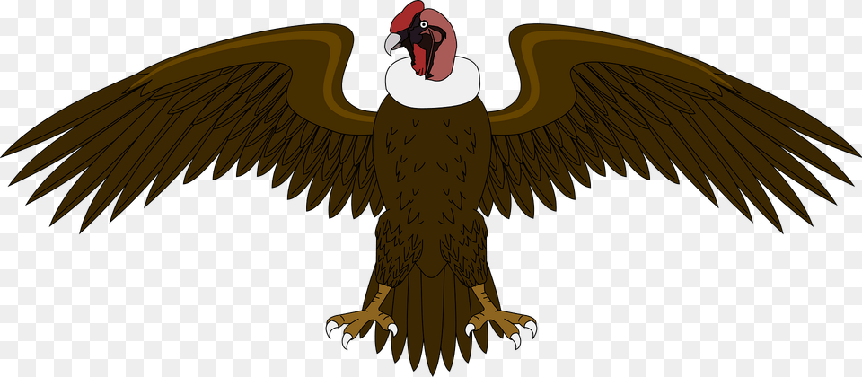 Escudo Clipart, Animal, Bird, Vulture, Beak Free Transparent Png