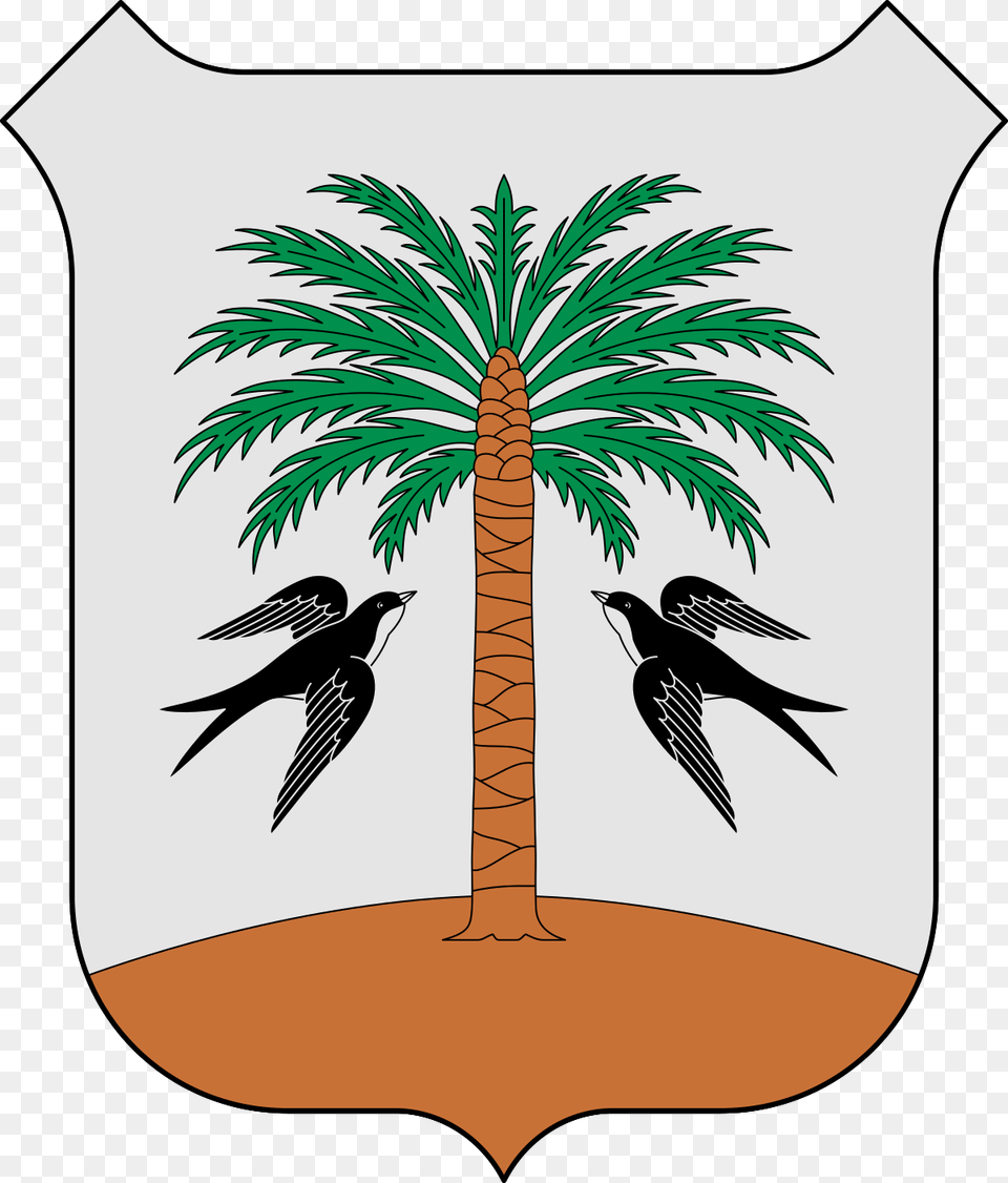 Escut Es Migjorn, Palm Tree, Plant, Tree, Animal Png Image