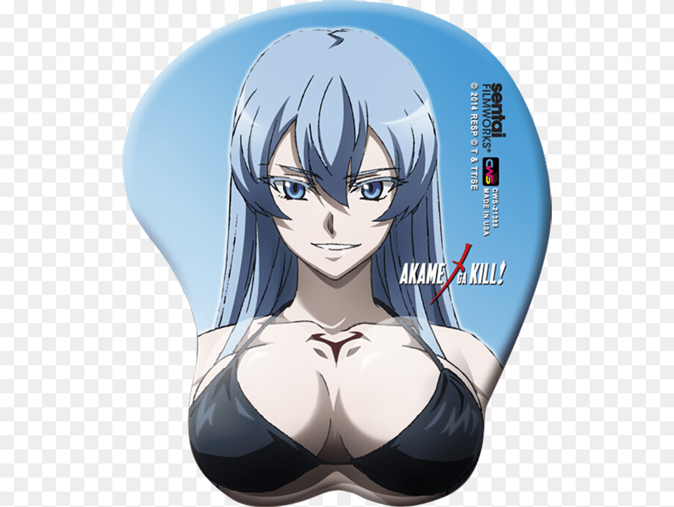 Esdeath Mouse Pad, Book, Comics, Publication, Adult Free Png Download