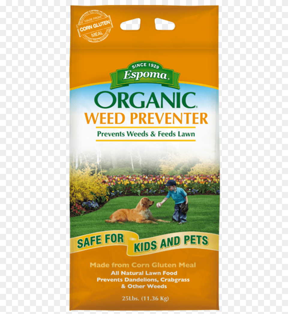 Espoma Fall Fertilizer, Advertisement, Poster, Person, Child Free Png