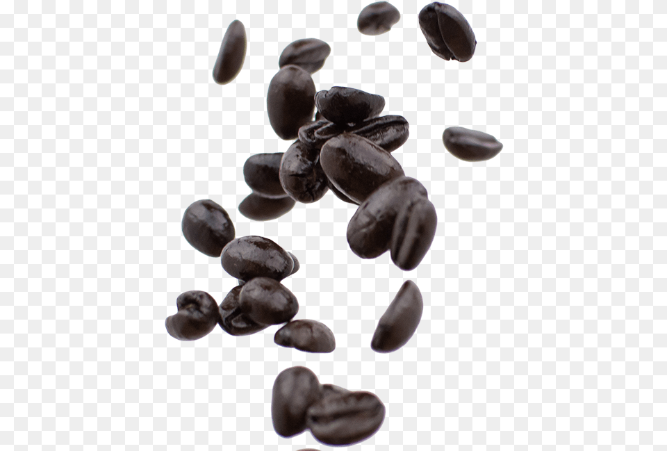 Espresso Blend Kidney Beans, Plant Free Png Download
