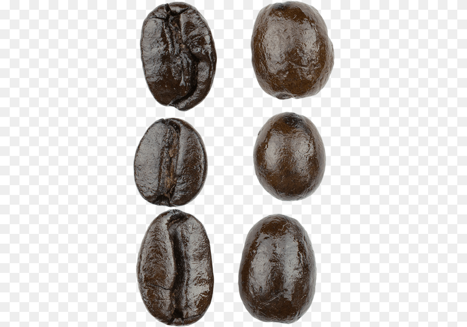 Espresso Blend Macro Kidney Beans Png Image
