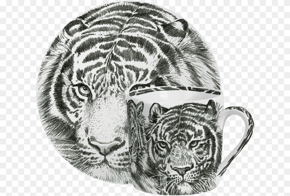 Espresso Cs Sketch, Art, Drawing, Animal, Mammal Free Png Download