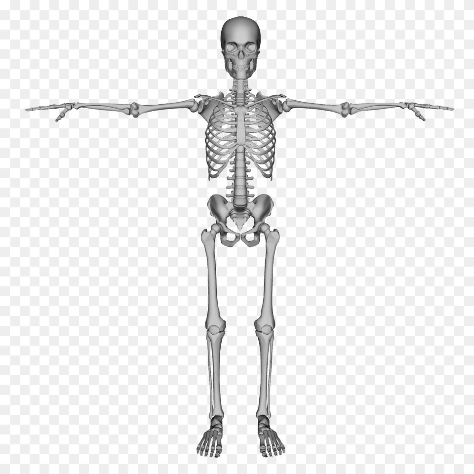 Esqueleto 3d Con Brazos Extendidos, Cross, Skeleton, Symbol Free Png