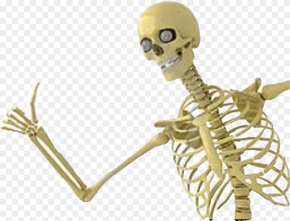 Esqueleto Freetoedit Skeleton Giving Thumbs Up, Animal, Dinosaur, Reptile Free Png