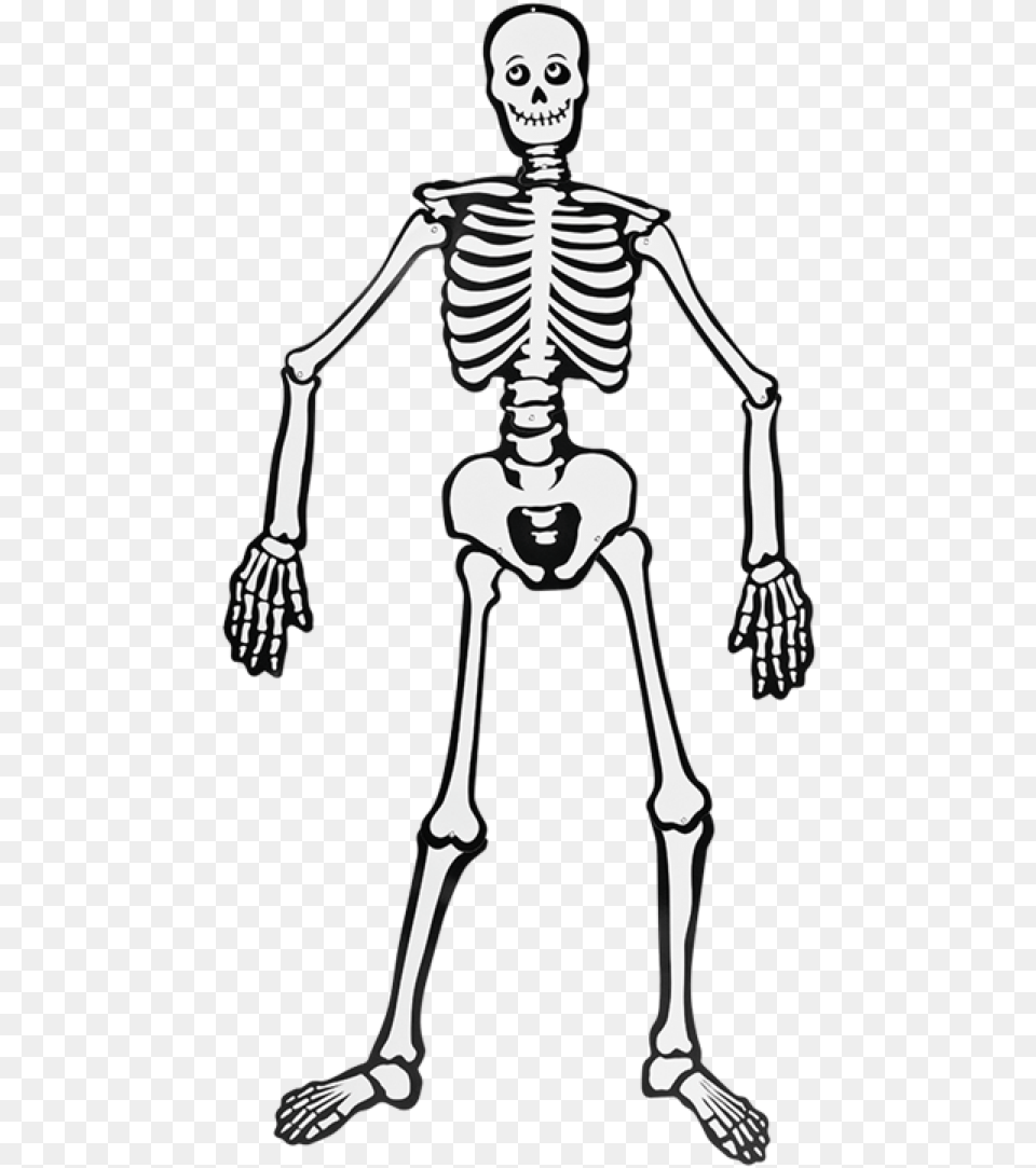 Esqueleto Halloween Esqueleto, Adult, Female, Person, Skeleton Free Png
