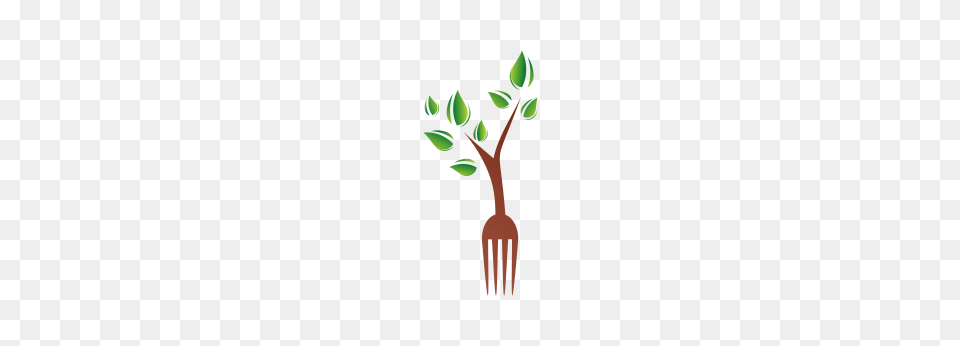 Essay About If I Were Christopher Columbus, Cutlery, Fork, Green, Plant Png