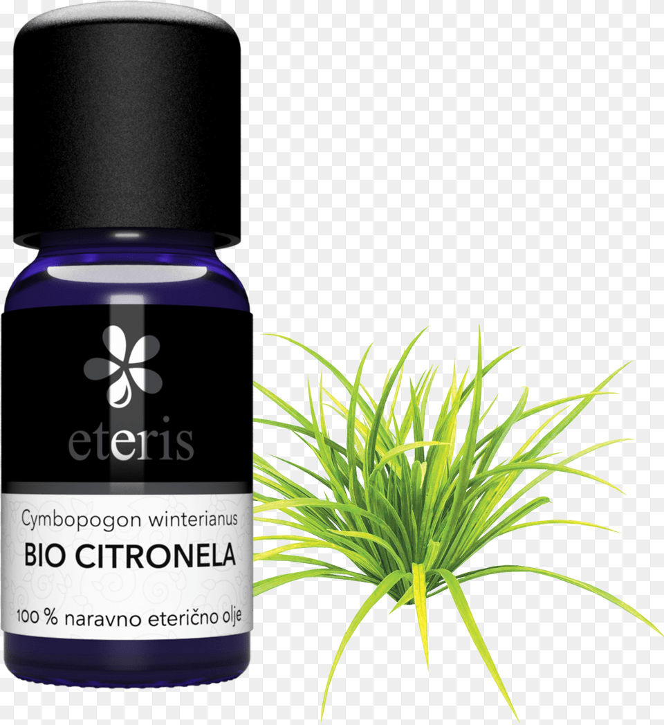 Essential Oil, Bottle, Herbal, Herbs, Plant Free Transparent Png