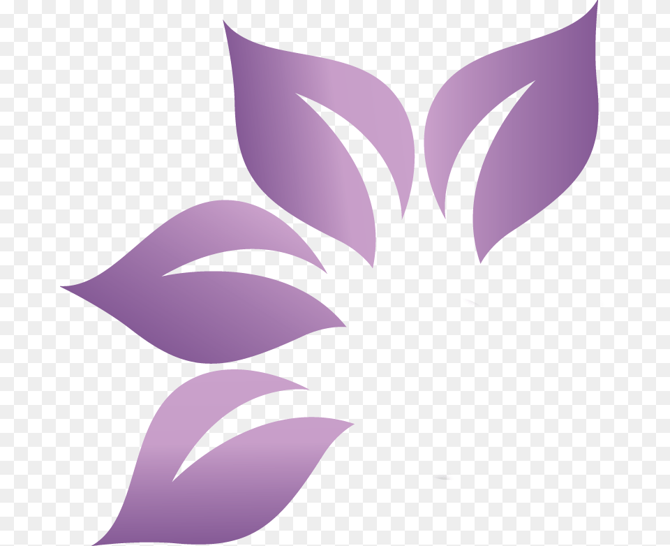 Essential Oils Cliparts Essential Oil Art, Graphics, Floral Design, Pattern Free Transparent Png