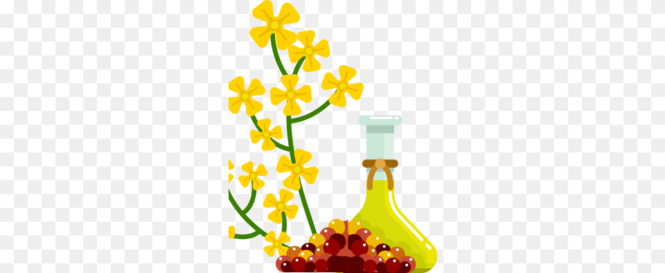 Essential Oils Guide Types Uses Benefits, Plant, Flower, Petal, Art Free Transparent Png