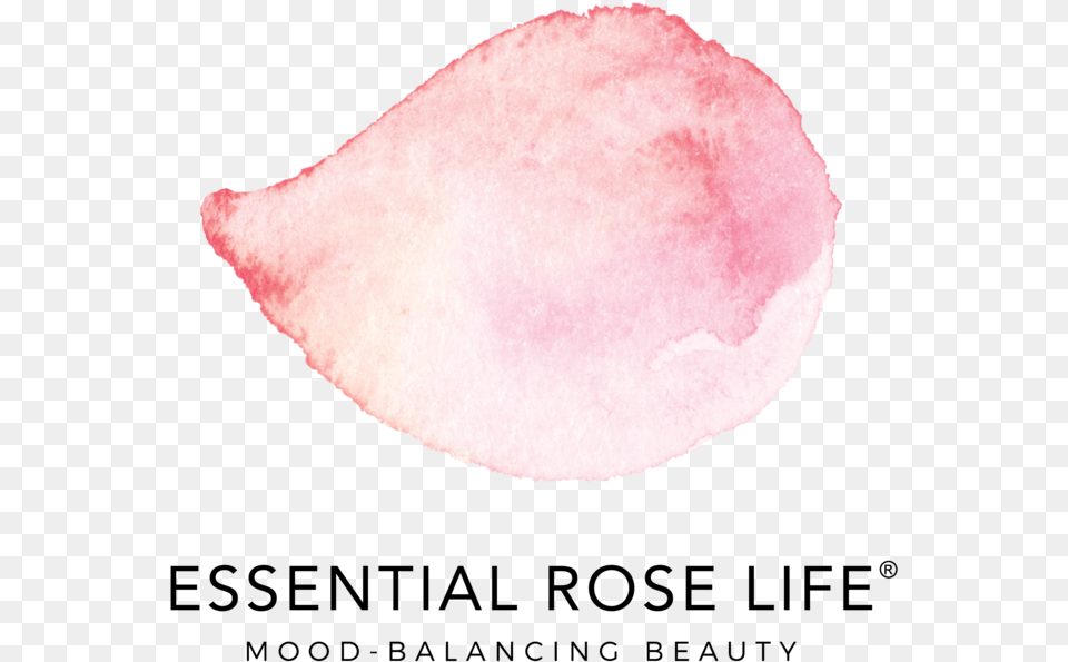 Essential Rose Life, Flower, Petal, Plant, Astronomy Png Image