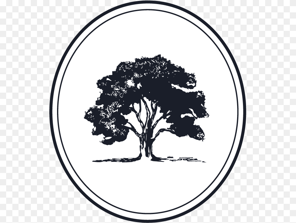 Estate Planning We Help Individuals And Families Protect Beech Tree Vector, Plant, Art Free Transparent Png