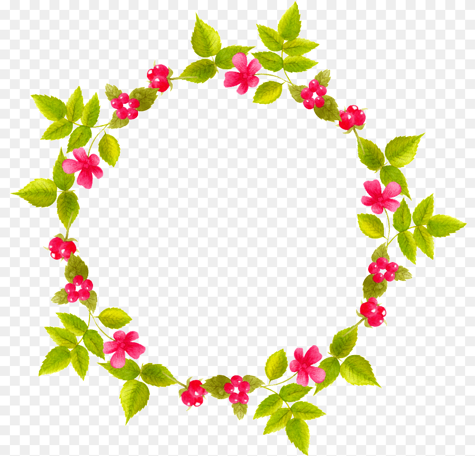 Este Grficos De Transparncia De Cor Clara Flower, Plant, Leaf, Petal, Flower Arrangement Png
