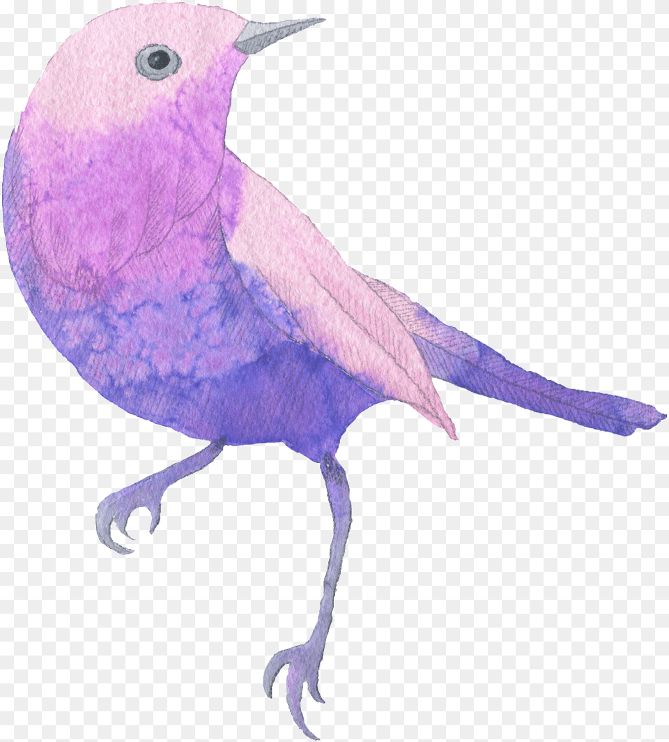 Este Grficos Es Purple Bird Watercolor Hand Painted Purple And Pink Sparrow Tote Bag Adult Unisex Natural, Animal, Blackbird Free Png