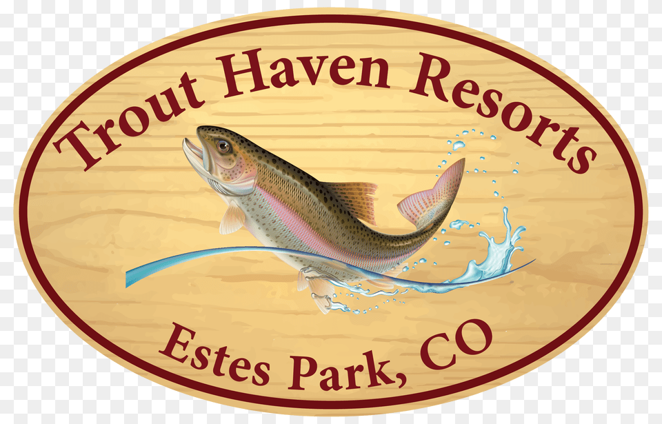 Estes Park Fishing Trout Haven Resorts, Animal, Fish, Sea Life Free Png Download