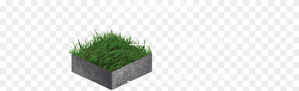 Estndar Fifa Lawn, Grass, Vase, Pottery, Potted Plant Free Transparent Png