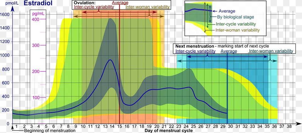 Estradiol During Menstrual Cycle Estradiol Menstrual Cycle, Chart, Plot Free Transparent Png