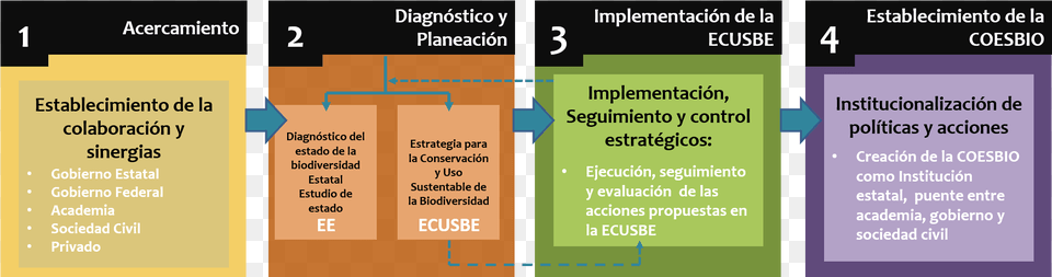 Estrategias De Conservacin De La Biodiversidad, Text Free Transparent Png