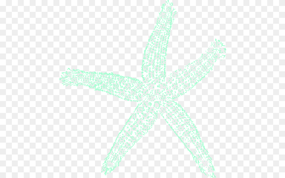 Estrela Do Mar, Animal, Sea Life, Invertebrate, Starfish Png