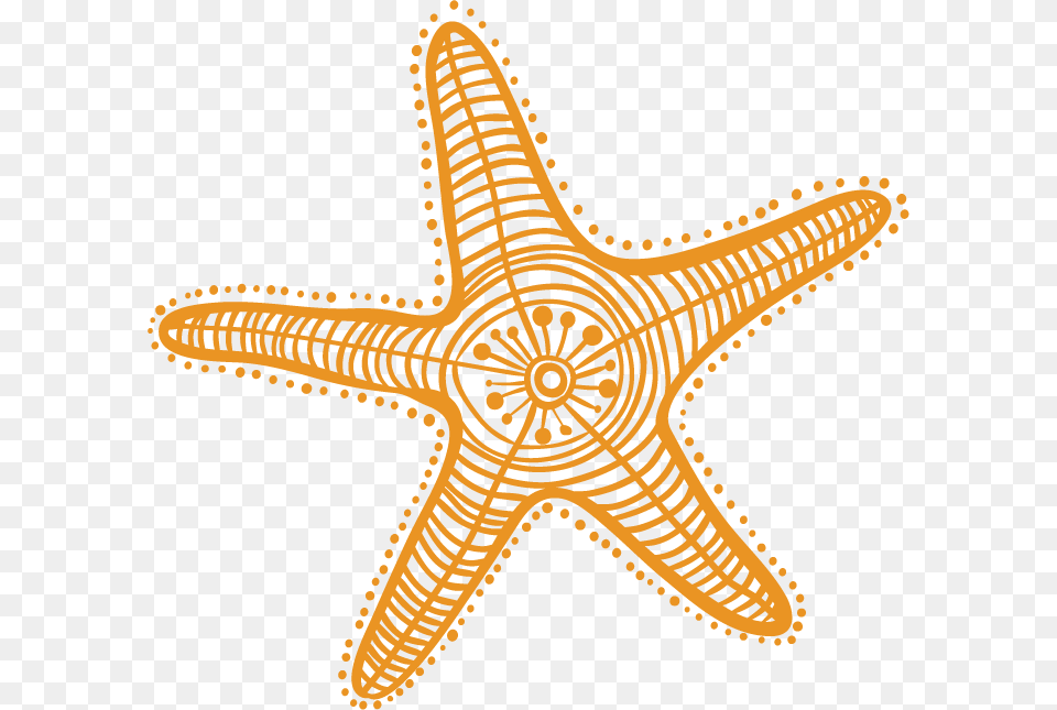 Estrella De Mar Clipart, Animal, Sea Life, Invertebrate, Starfish Free Png