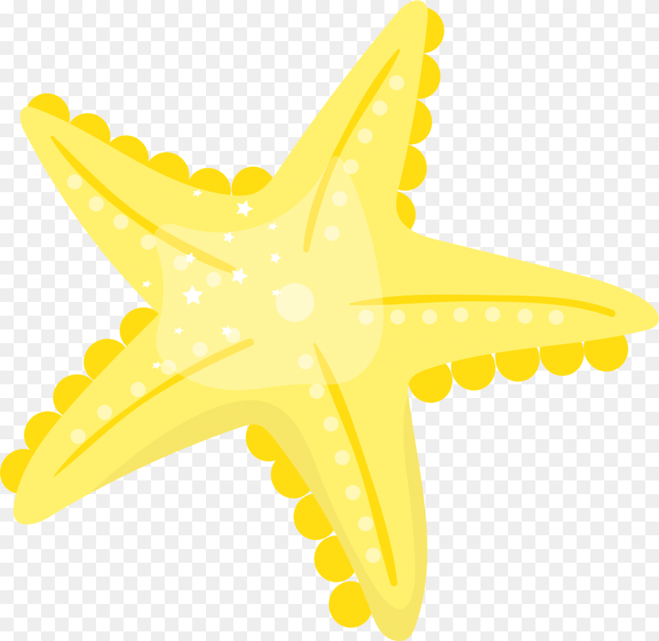 Estrella De Mar De La Sirenita, Animal, Sea Life, Fish, Shark Free Png