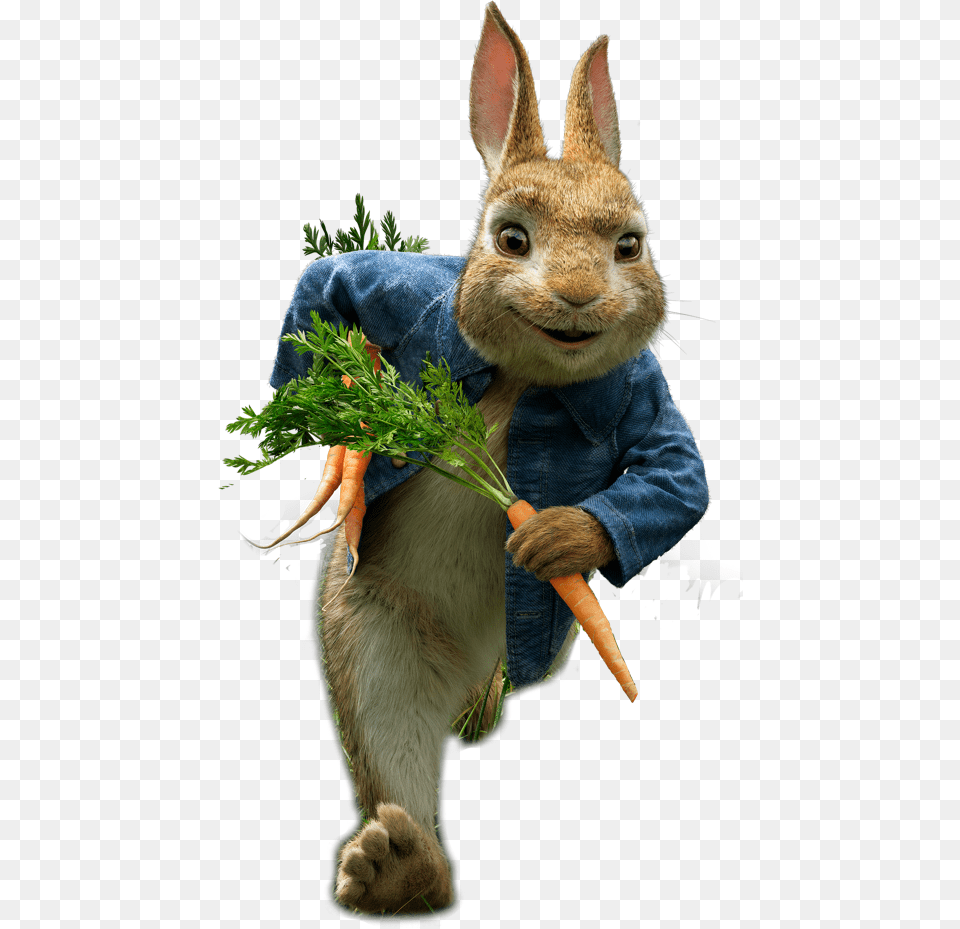 Estreno Peter Rabbit, Animal, Carrot, Food, Mammal Free Transparent Png