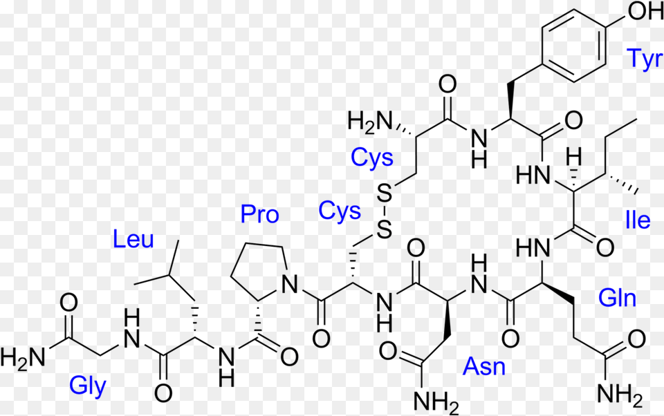 Estructura De La Oxitocina, Diagram Free Png Download
