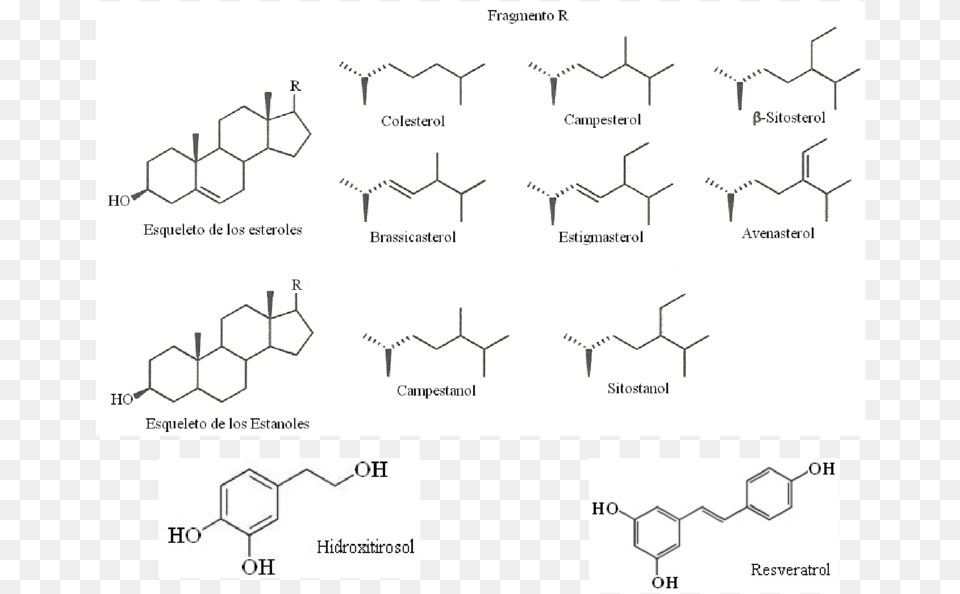 Estructuras Representativas De Diferentes Fitoqumicos Structure, Page, Text Free Png Download