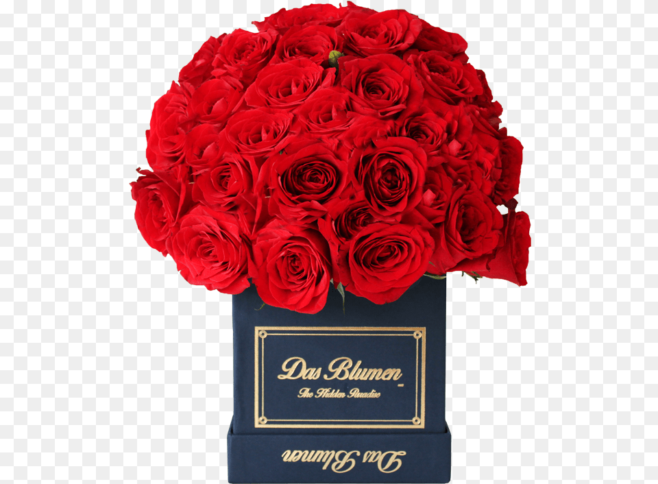 Estuche Cbico Mini Royal Con Rosas Naturales Day, Flower, Flower Arrangement, Flower Bouquet, Plant Free Png Download