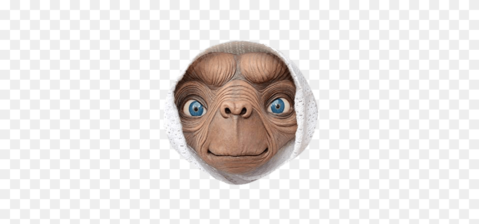 Et The Extra Terrestrial Head In Blanket, Baby, Person, Animal, Wildlife Free Png Download