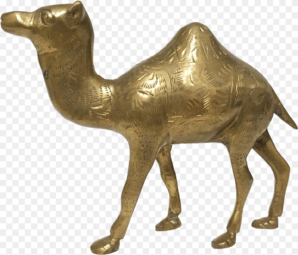 Etched Brass Camel Figurine Arabian Camel, Animal, Mammal, Bronze, Bird Free Png Download