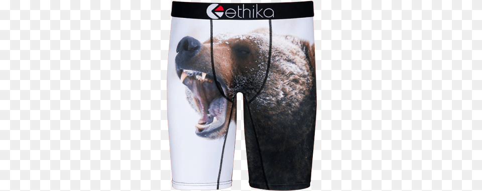 Ethika Bear Creek Boxer Brief Underwear For Men Stance Mens Icon Classic Crew Socks Size 9, Animal, Mammal, Wildlife Free Transparent Png