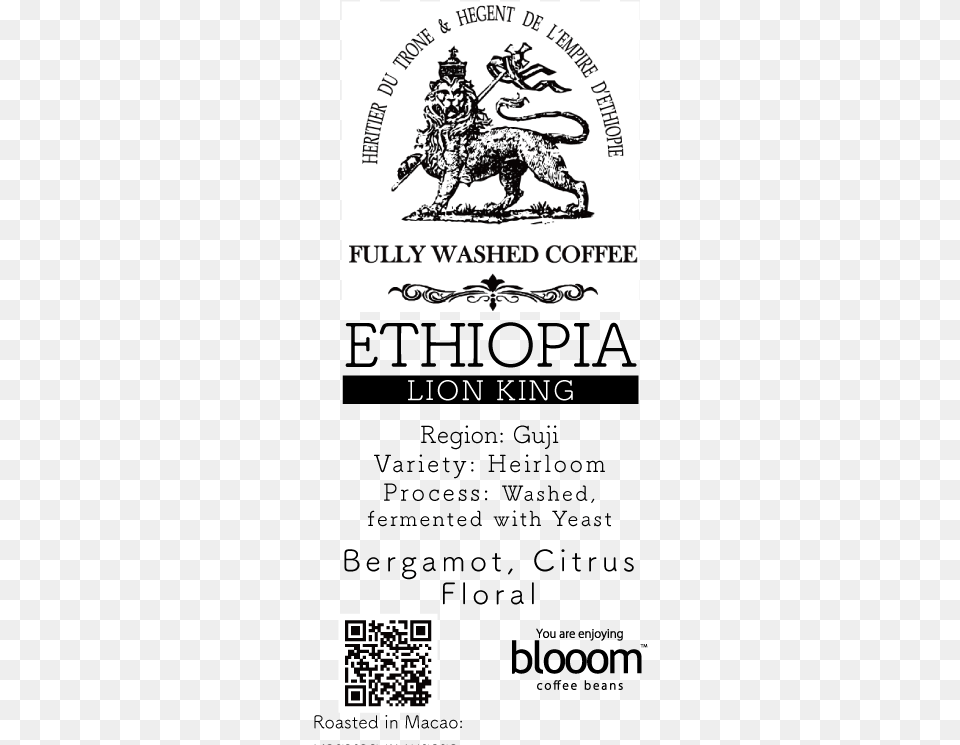 Ethiopia Lion King Washed Bbmpins, Book, Publication, Qr Code, Logo Free Png