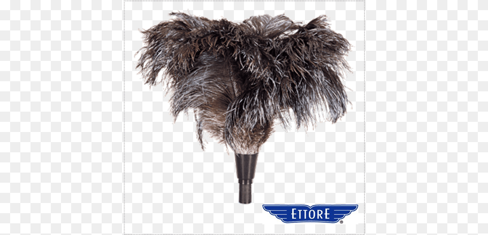 Ettore Ostrich Feather Duster Ostrich Feather Duster, Animal, Bird Free Png Download