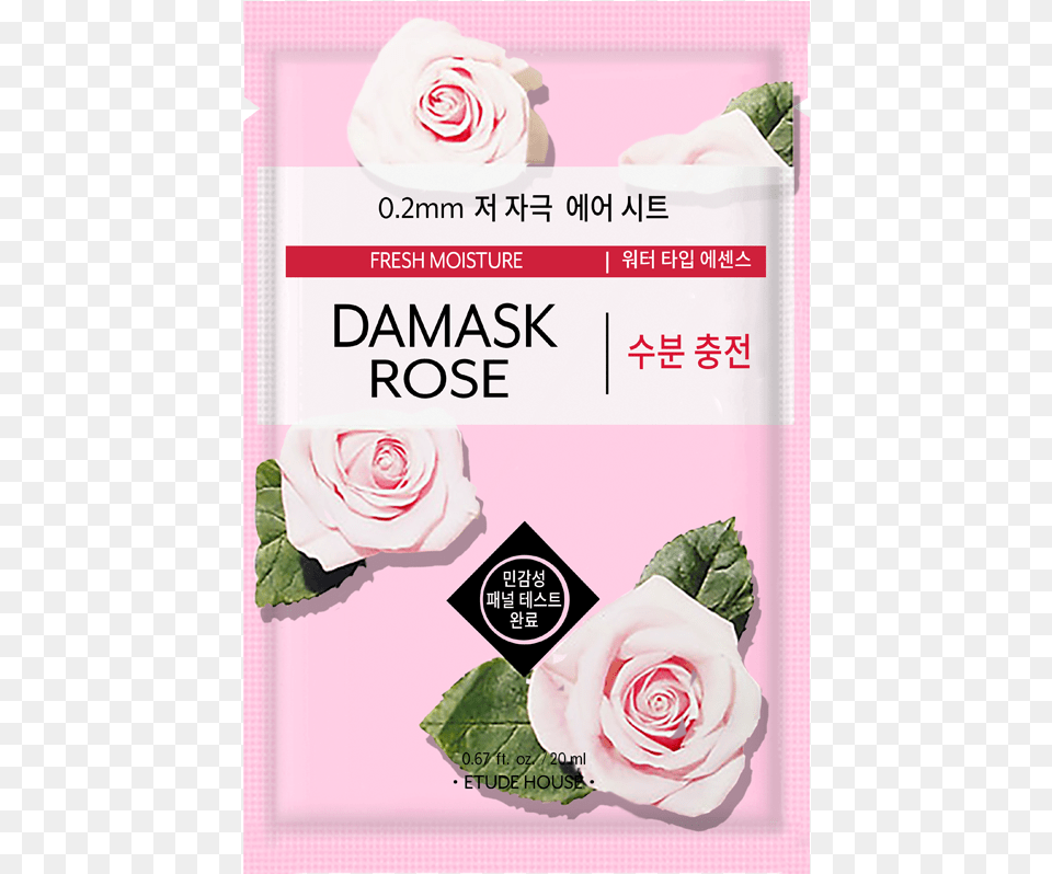 Etude House Rose Mask, Flower, Plant, Advertisement, Poster Free Transparent Png