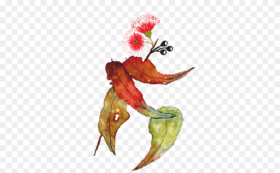 Eucalyptus Camaldulensis Painting In Transition Still Illustration, Flower, Leaf, Petal, Plant Free Transparent Png
