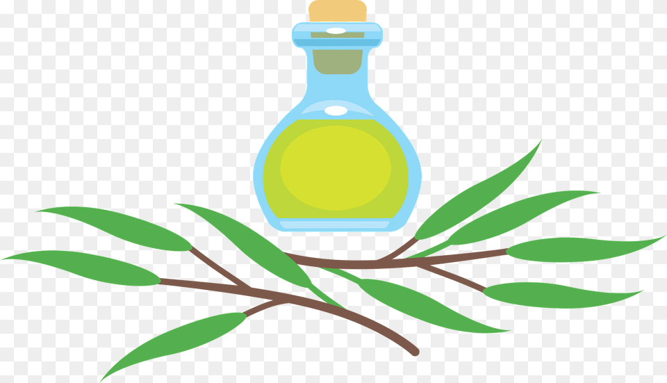 Eucalyptus Clipart, Herbal, Herbs, Leaf, Plant Free Transparent Png