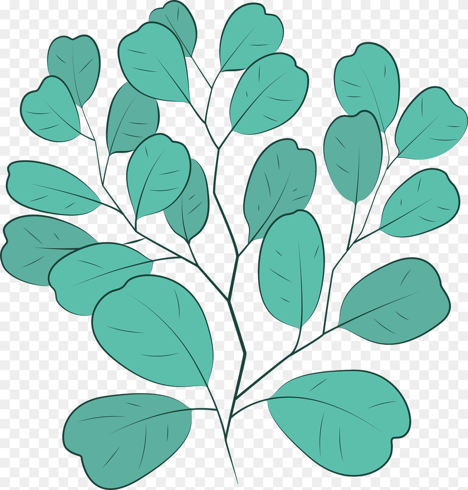 Eucalyptus Clipart, Leaf, Pattern, Plant, Art Png Image