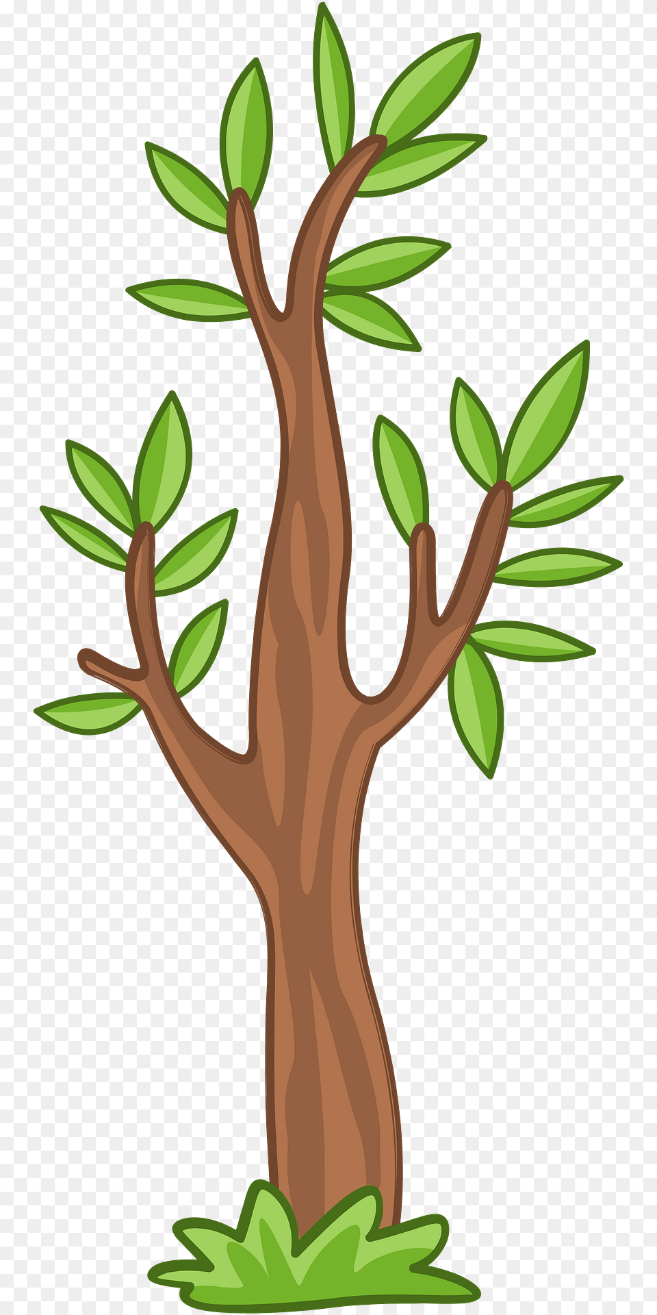 Eucalyptus Clipart, Plant, Vegetation, Tree Trunk, Tree Free Png