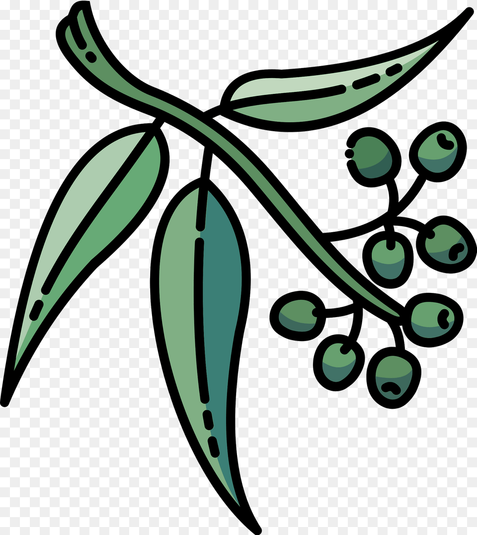 Eucalyptus Clipart, Leaf, Plant, Food, Fruit Free Png Download
