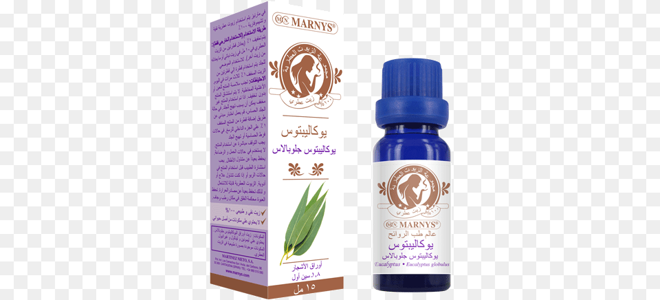 Eucalyptus Essential Oil Marny39s Tea Tree Oil, Bottle, Herbal, Herbs, Plant Free Png