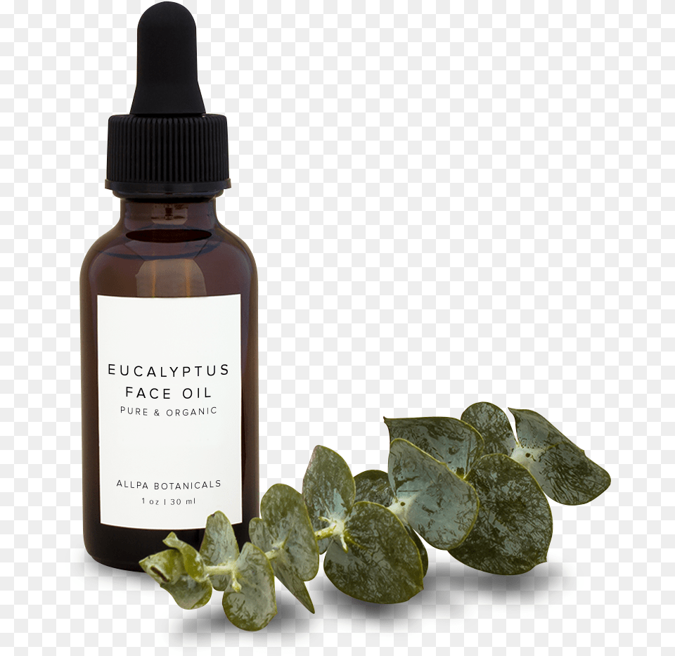 Eucalyptus Face Oil Cosmetics, Bottle, Herbal, Herbs, Leaf Png