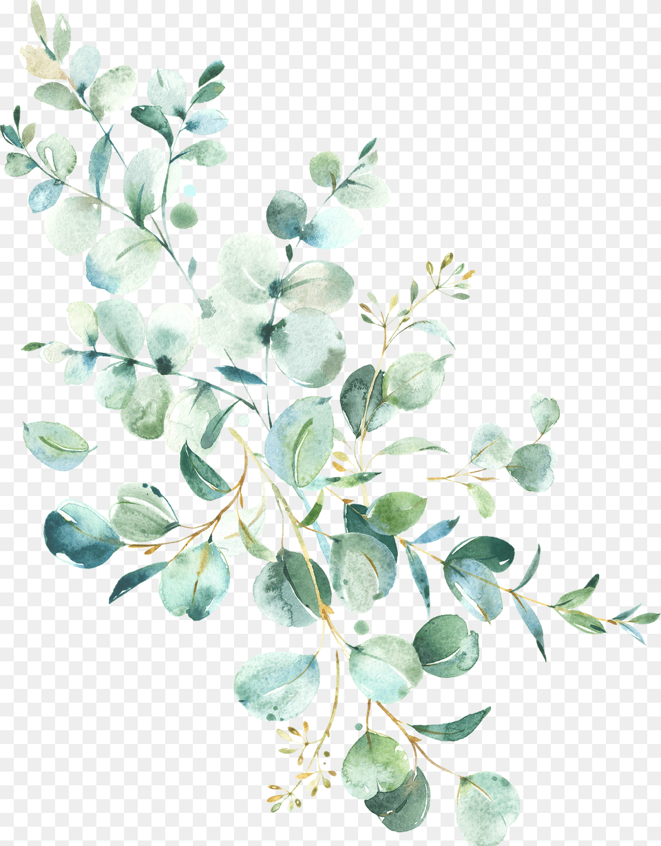 Eucalyptus Frame Watercolor, Plant, Art, Floral Design, Graphics Png Image